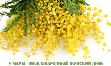 Желтая мимоза на 8 марта, цветы