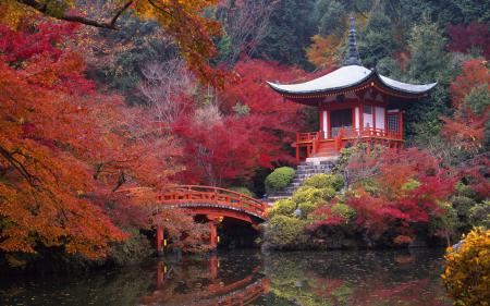 Красный японский сад, обои на телефон самсунг природа