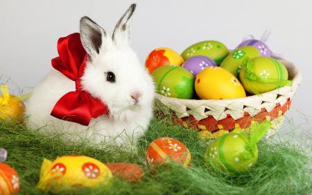Белый пушистый кролик с пасхальными яйцами, картинки со светлой Пасхой