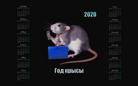 Календарь 2020 с крысой на черном фоне