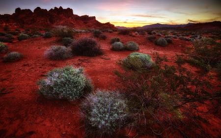 Красная пустыня, природа на заставку телефона самсунг