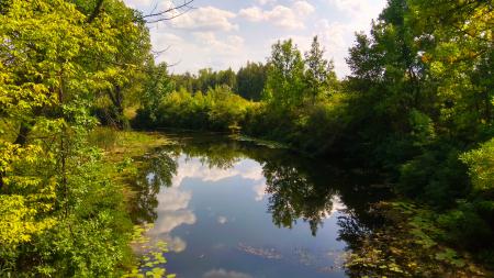 Река в лесу, 4к ультра ашди, заставка на планшет природа