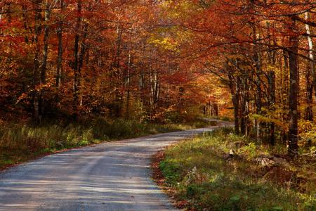 Осенний пейзаж дороги, Фон на рабочий стол 1680х1050