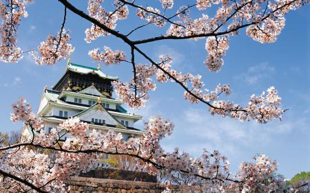 Дворец в Японии весной, фото природы для заставки