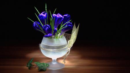 Синие крокусы, цветы в вазе обои на рабочий стол, hd заставки