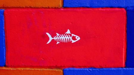 Скелет рыбы на красном фоне, обои с рыбами
